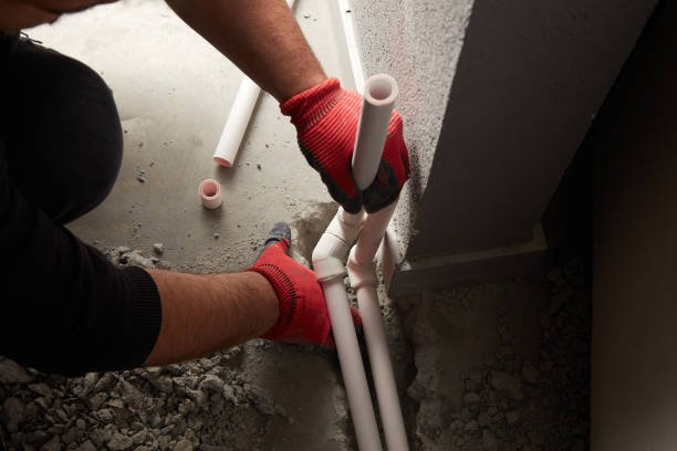 Best Toilet Repair Services  in Nisswa, MN
